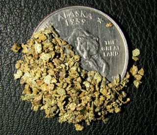 Alaska Gold Nuggets 3 Grams -,  Natural,  - 14 Mesh Alaska Gold