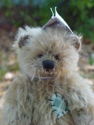 Deb Canham 4 " Doodle Bear Jointed Miniature Mohair Bear & Tag Cute