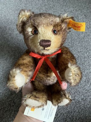 Steiff Danbury 8 " Teddy Bear Tipped Brown Mohair Stuffed 666766 Tag Germany
