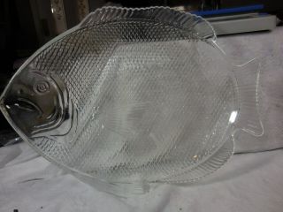 Oven Proof Usa Clear Glass Fish Shape Platter Plate 11 " X 15 "