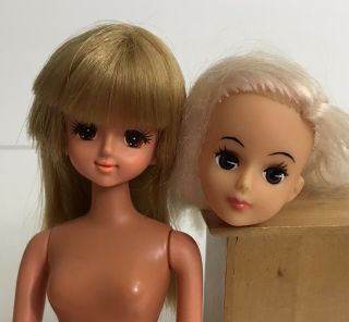 Vintage Japan Barbie Takara Lot; Student Teacher & Jenny Head & Usa Tracksuit