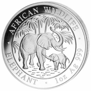 2007 1 Oz Silver Somalia Elephant Coin Bu Placed In Airtight Capsule