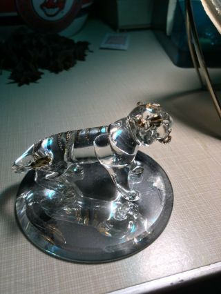 Blown Glass Tiger Figurine On Top Of Mirror Glass House