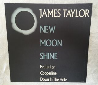 JAMES TAYLOR POSTER 1991 MOON SHINE RECORD STORE PROMO ALBUM FLAT 2