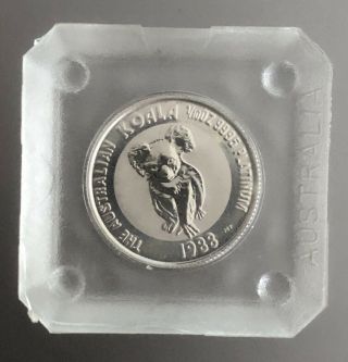 1988 Australian Koala 15 Dollar Coin - 1/10 Oz.  9995 Platinum In Case
