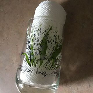 1970’s Brockway Flower Of The Month Glass Tumbler Lily Of The Valley - May