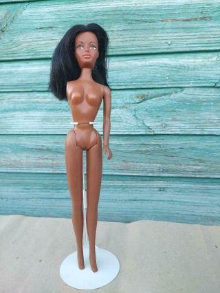 Petra Donna Sommerwind Plasty Aa Barbie Clone Doll Tlc