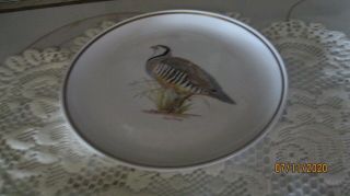 Centura By Corningware Game Birds 10 " Dinner Plate Chukar Partridge