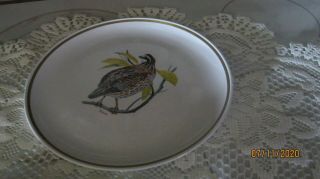 Centura By Corningware Game Birds 10 " Dinner Plate Bobwhite