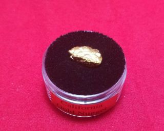 2.  4 Grams Natural Gold Nugget In A Gem Jar W/lid
