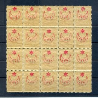 Turkey 1905/06 Block Of 20 - Variety - Overprint Visible On Reverse Mnh Vf @1