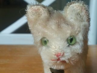Antique Vintage Steiff Kitten Cat Tabby Teddy Bear Friend 1949 - 1967 3in Vgc
