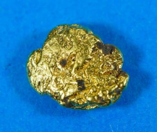 Qn - 51a " Alaskan Bc Gold Nuggets With Quartz " - - 2.  22 Grams