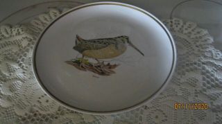 Centura By Corningware Game Birds 10 " Dinner Plate Woodcock