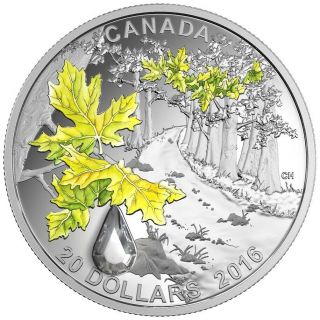 Jewel Of The Rain: Big Leaf Maple - 2016 Canada $20 Fine Silver Coin
