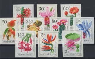 Hungary,  Magyar,  Stamps,  1965,  Mi.  2164 - 2173 B