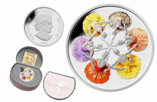 2014 Canada $20 Fine Silver Coin - 75th Anniversary Of The Royal Winnipeg Ballet