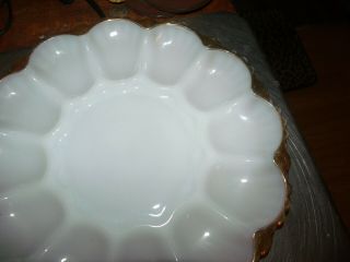 Vintage White Milk Glass With Gold Trim 10 " Round Deviled Egg Tray