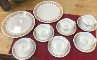 Corelle Butterfly Gold 2 Dinner Plates Plus 6 Matching Cups And Saucers