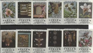 Complete Set Of Posterstamps Switzerland Tobler Chocolade The Life Of Honey Bees