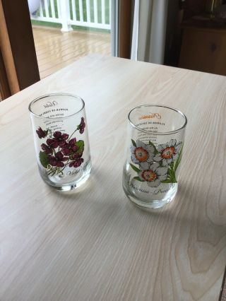 2 Vtg Brockway Flower Of The Month Glass Tumblers,  Dec.  & Feb Narcissus & Violet