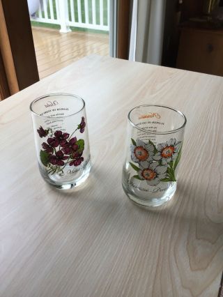 2 Vtg Brockway Flower Of The Month Glass Tumblers,  Dec.  & Feb Narcissus & Violet 2