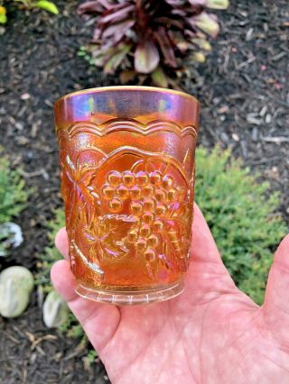 Imperial Grape Antique Carnival Glass Marigold Tumbler Color