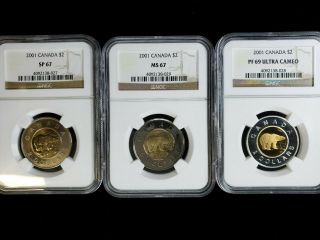 2001 Canada $2 Toonie Polar Bear 3 Coin Set Ngc Sp 67 Ms 67 Pf 69 Uc