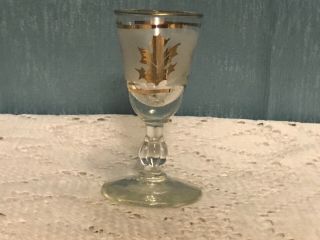 Vintage Libbey Glass Frosted Gold Leaf Sherry/cordial Glass