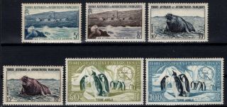 Pp136457/ French Antarctic / Lot 1956 – 1959 Mnh Cv 173 $