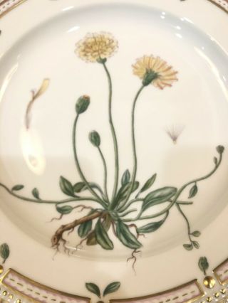 Royal Copenhagen Flora Danica 10” Dinner Plate 20/3549 Hieracium Pilosella 2