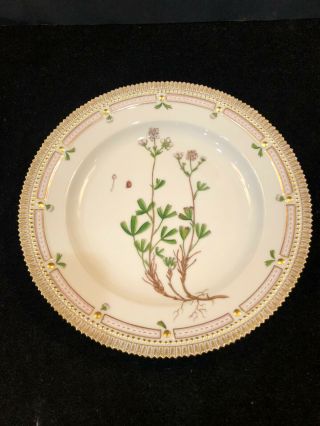 Royal Copenhagen Flora Danica 10” Dinner Plate 20/3549 Potentilla Retusa Horn