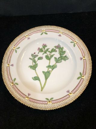 Royal Copenhagen Flora Danica 10” Dinner Plate 20/3549 Stenhammaria Maritima