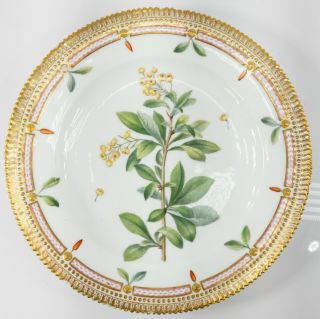 Antique Danish Royal Copenhagen Flora Danica Gilt Dinner Plate Berberis Vulgaris
