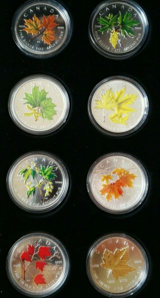 2001 - 2008 Canada $5 Maple Leaf Coloured Gold Silver 8 Coins Complete Set