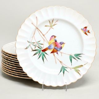 Vintage Set Of 12 Spode Copeland Aviary Birds Dinner Plates 10 "