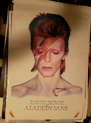 David Bowie Aladdin Sane Poster 24.  75 X 35.  5
