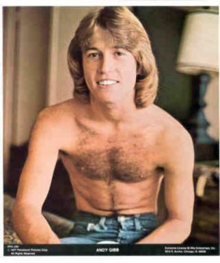 Andy Gibb 1977 Poster Put - On 8x10 Photo Sticker
