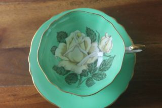 RARE Paragon large White cabbage Rose Green Teacup Tea cup Saucer double warrant 2