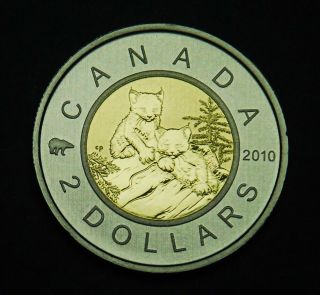 2010 $2 Specimen Toonie From Showing Young Lynx Kittens - Rare Uncirculated