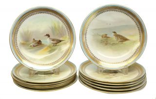 12 Royal Doulton Porcelain Hand Painted Bird Cabinet Plates,  Signed Hancock