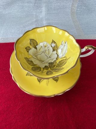 Stunning Paragon Teacup & Saucer Yellow With Large White Roses A277