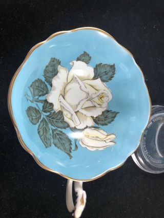 Paragon Blue Floating Rose Cup & Saucer 2