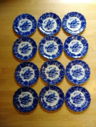 Ridgways " Turkey " Flow Blue 10 " Dinner Plate Antique Set Of 12