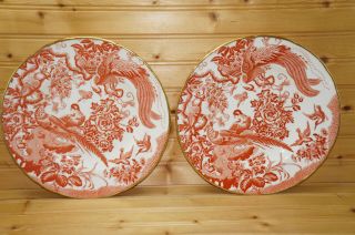 Royal Crown Derby Red Aves (20) Dinner Plates,  10 1/2 "