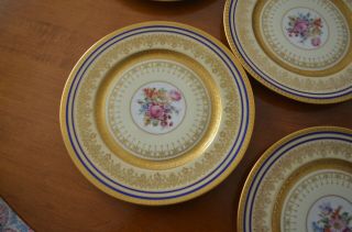 Set Of 8 Heinrich & Co.  Selb Bavaria Gold Encrusted Dinner Plates 11 " Porcelain