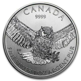 Canada - 2015 - 1 Oz Silver Great Horned Owl - Birds Of Prey Coin In Capsule
