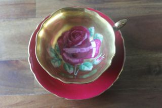 Rare Paragon Gold Large Cabbage Rose Teacup Tea Cup Saucer Burgundy