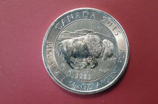 2015 Canada Bison - 1.  25 Oz.  999 Silver - 8 Dollars (13 - 1)