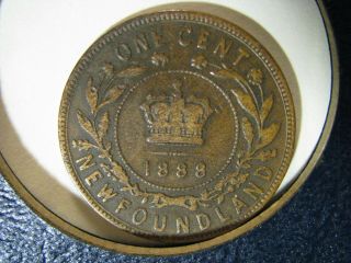 1888 Newfoundland Large Cent Km 1,  Low Mintage 50,  000 Coins